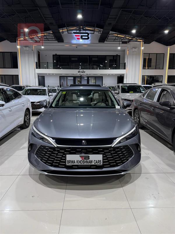 بي واي دي كوين L DM-i 2025 للبيع في العراق - اربيل